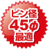 ピン径45φ最適