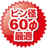 ピン径60φ最適