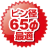 ピン径65φ最適